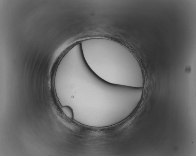 X0000111510246200907281321