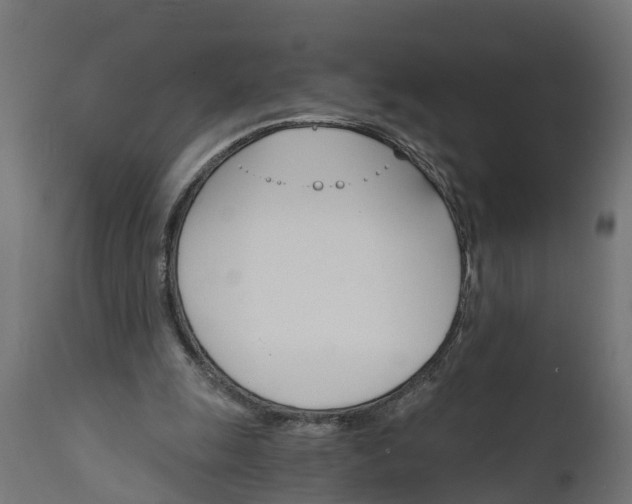 X0000111510247200907281321