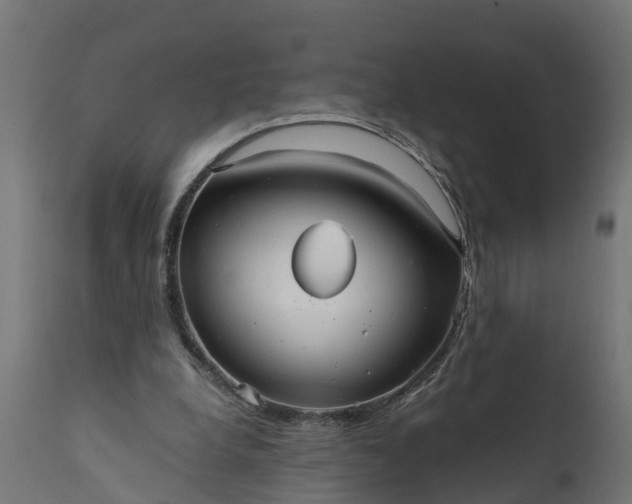 X0000111510248200907281321