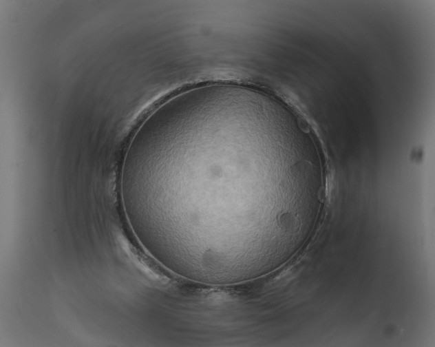 X0000111510249200907281321