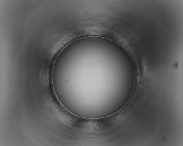 X0000111510250200907281321