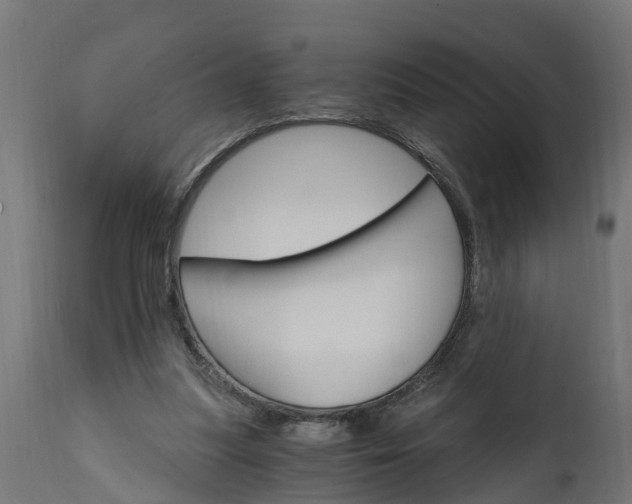 X0000111510251200907281321