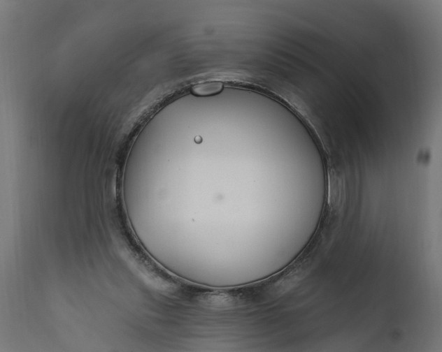 X0000111510253200907281321