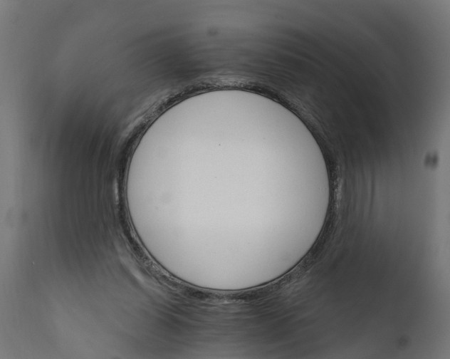 X0000111510254200907281321