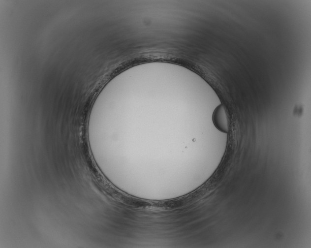 X0000111510255200907281321