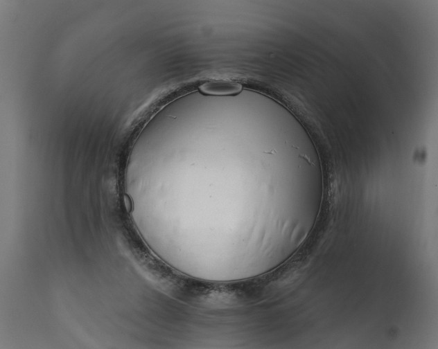 X0000111510256200907281321