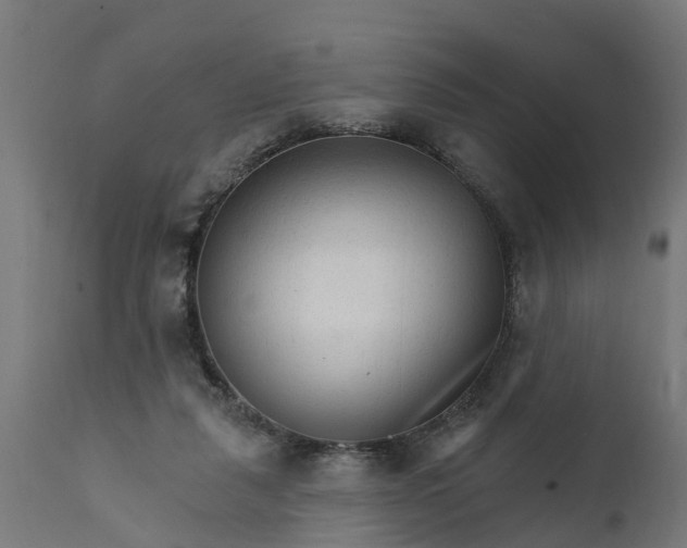 X0000111510259200907281321