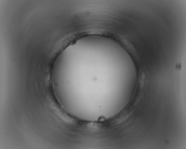 X0000111510261200907281321