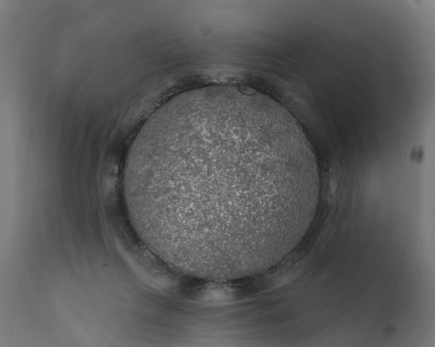 X0000111510263200907281321