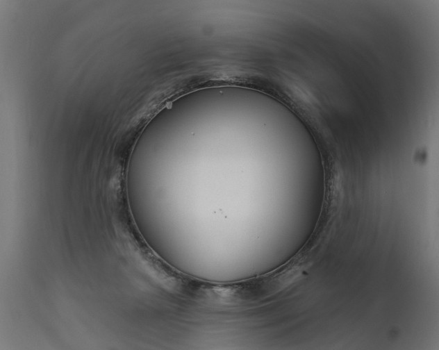 X0000111510265200907281321
