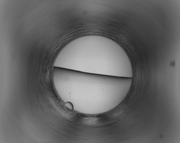 X0000111510266200907281321