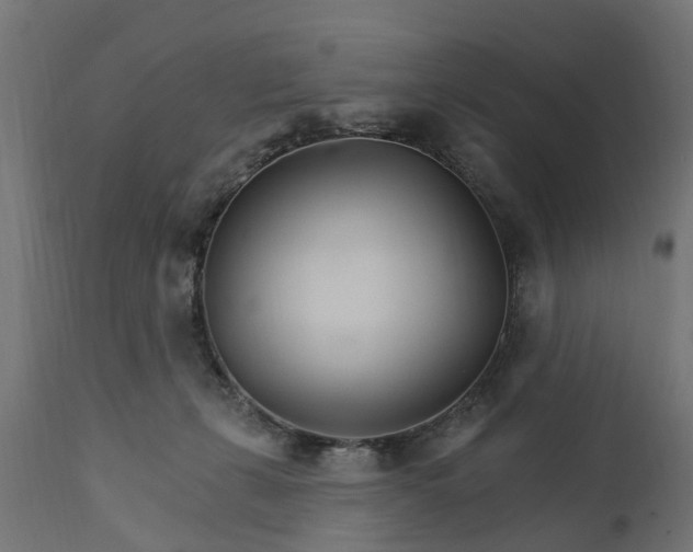 X0000111510271200907281321