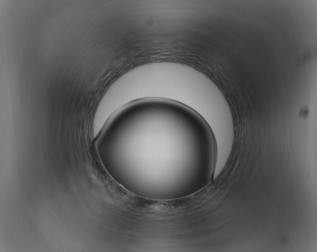 X0000111510272200907281321