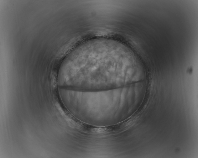 X0000111510273200907281321