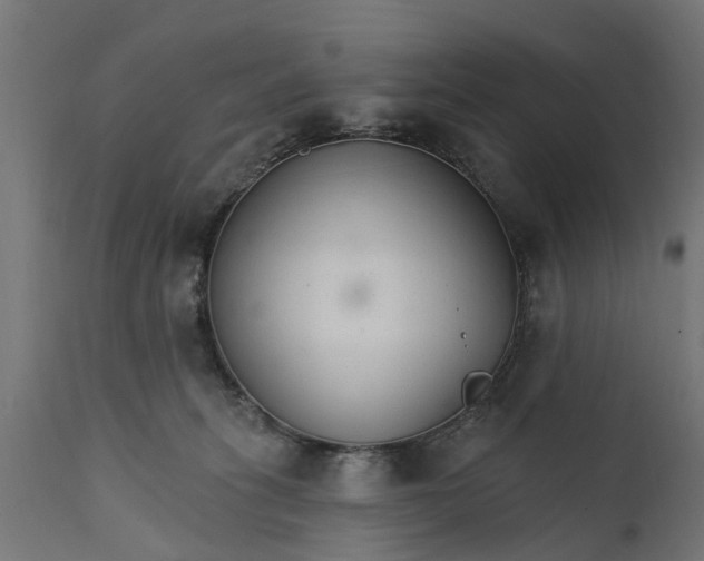 X0000111510275200907281322