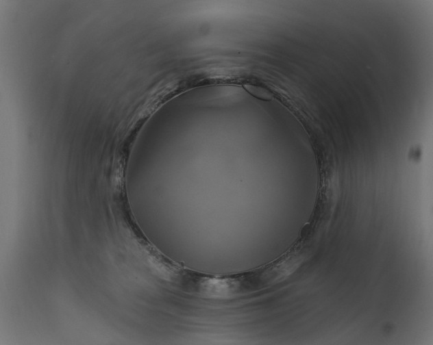 X0000111510277200907281322