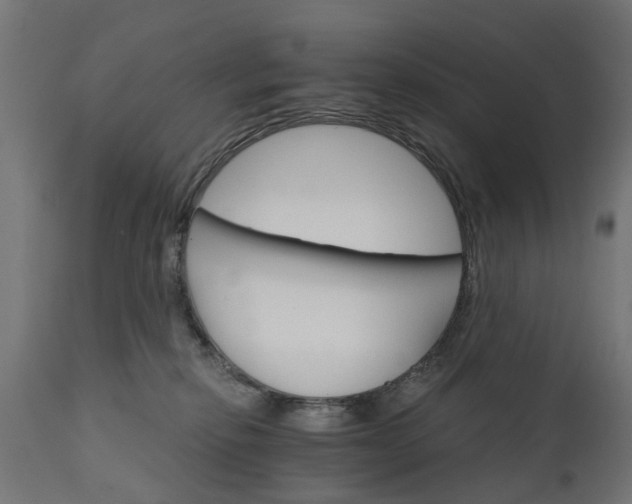 X0000111510278200907281322