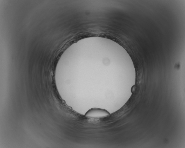 X0000111510279200907281322