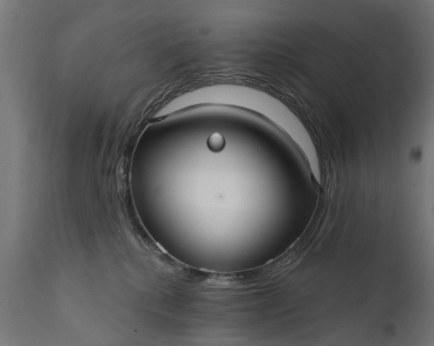 X0000111510280200907281322
