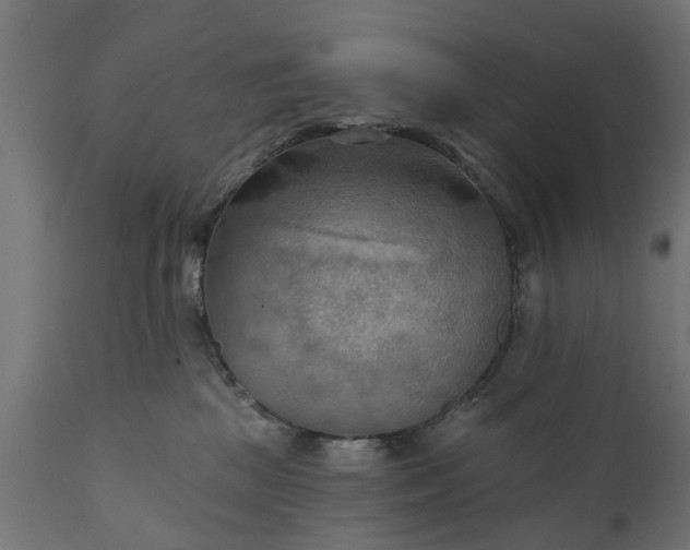 X0000111510281200907281322