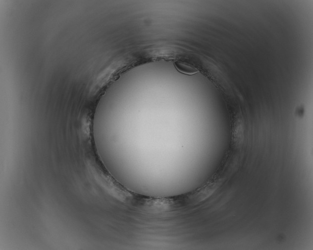 X0000111510282200907281322