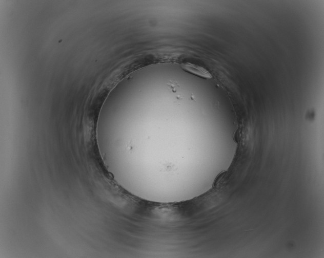 X0000111510283200907281322