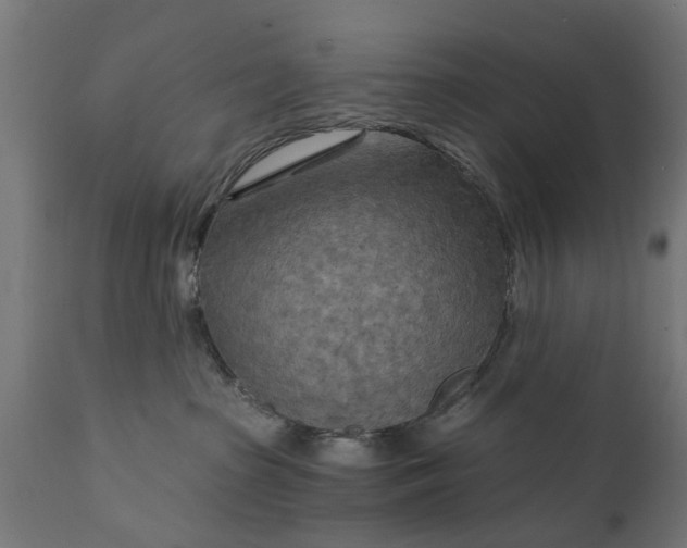 X0000111510285200907281322