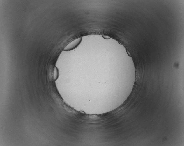 X0000111510287200907281322