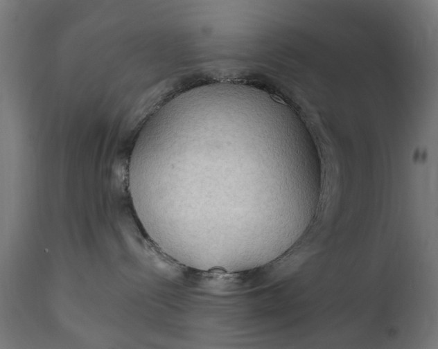 X0000111510288200907281322