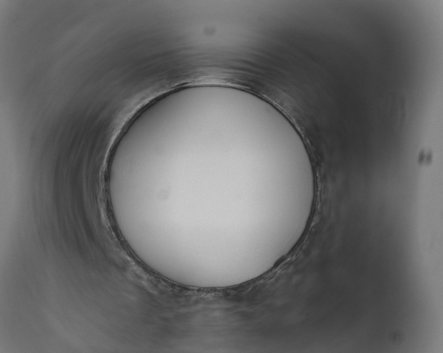 X0000111510289200907281321