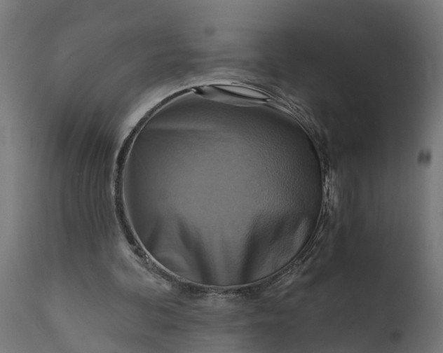 X0000111510292200907281321