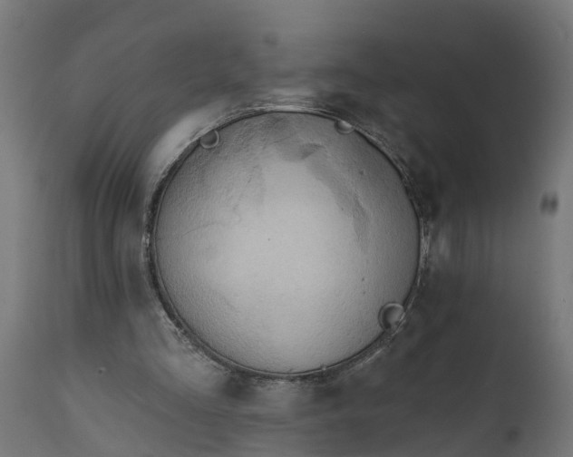 X0000111510293200907281321