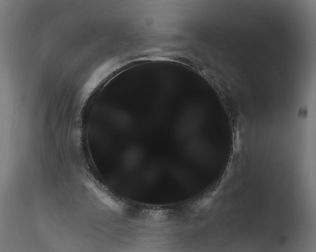 X0000111510295200907281321