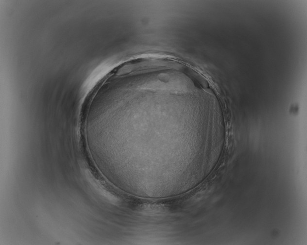 X0000111510296200907281321