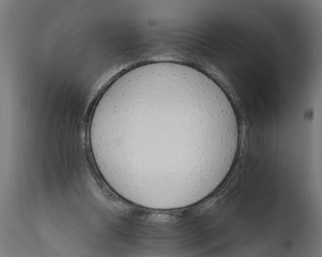 X0000111510298200907281321