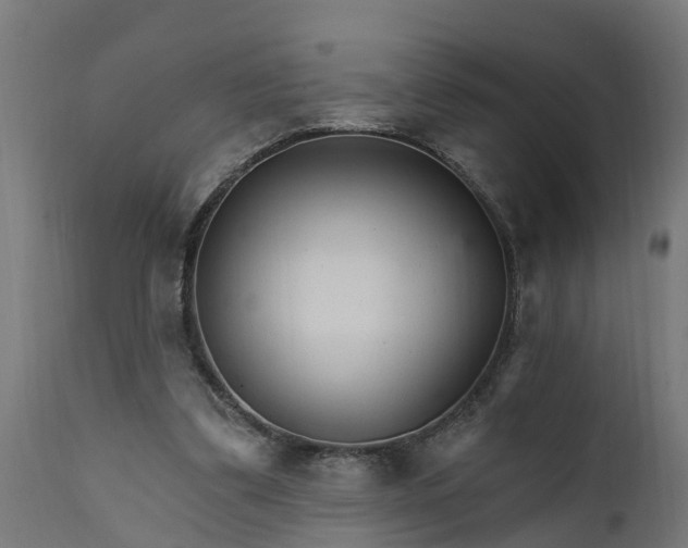 X0000111510299200907281321