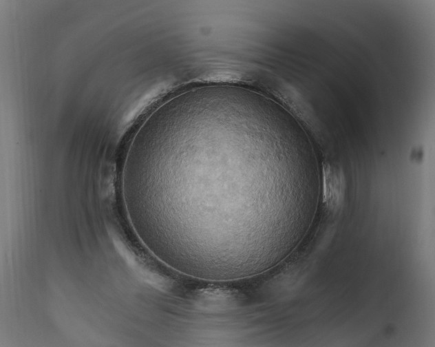 X0000111510300200907281321