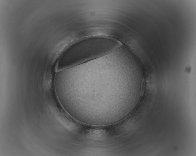 X0000111510304200907281321