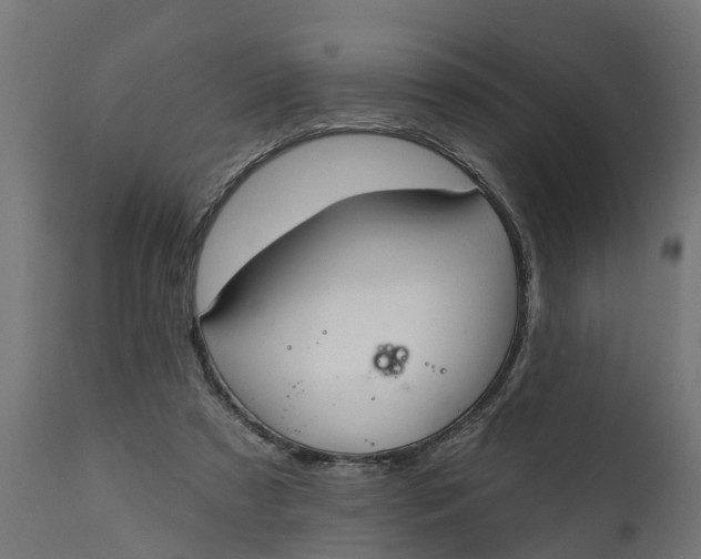 X0000111510305200907281321