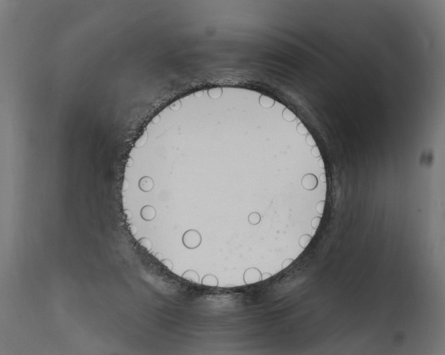 X0000111510307200907281321