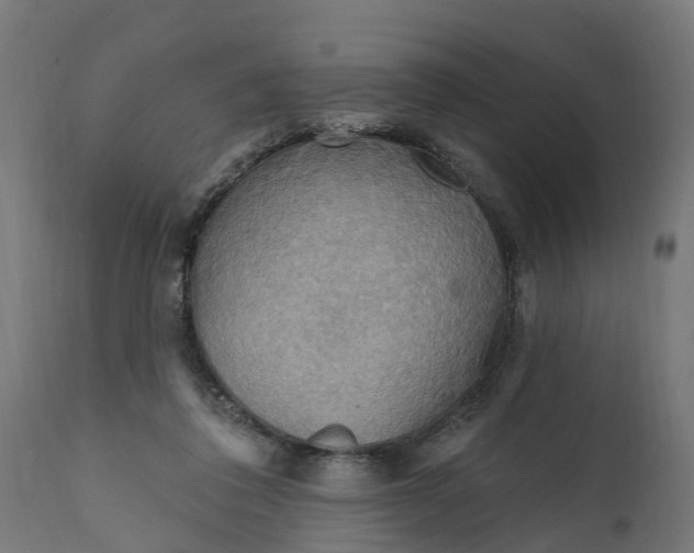 X0000111510308200907281321
