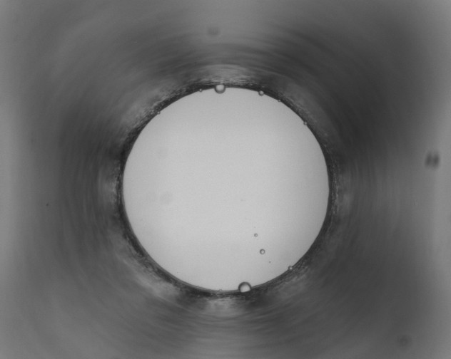 X0000111510309200907281321