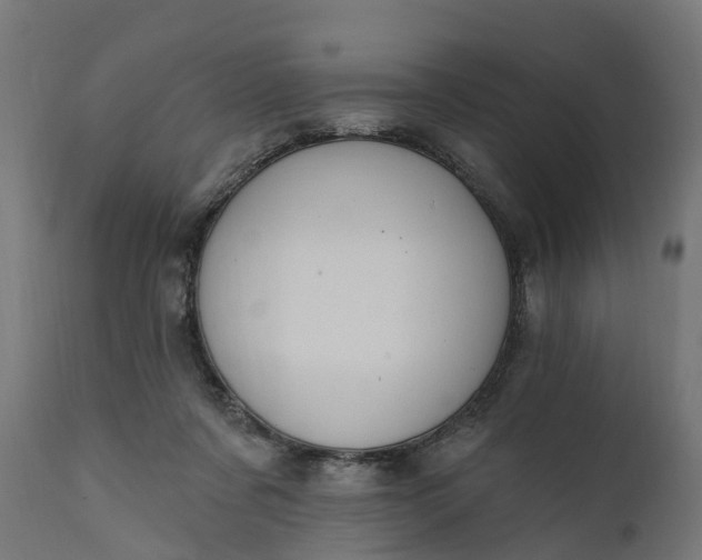 X0000111510311200907281321