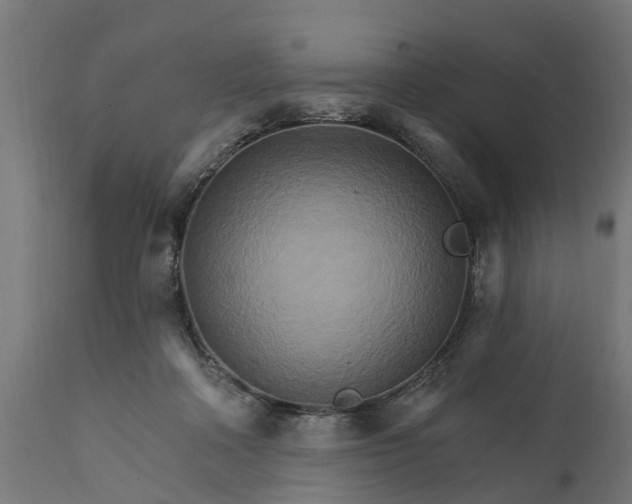 X0000111510314200907281321