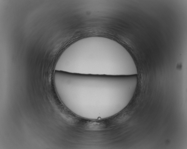 X0000111510315200907281321