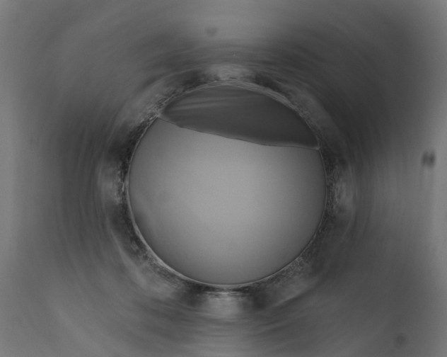 X0000111510316200907281321