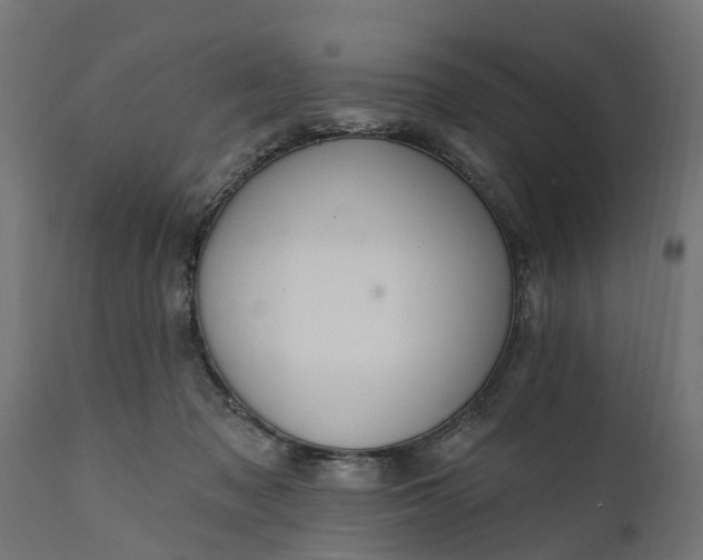 X0000111510317200907281321