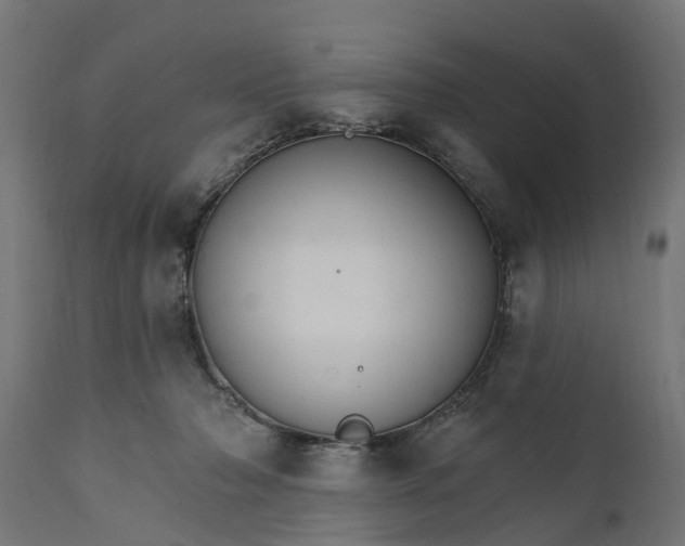 X0000111510318200907281321