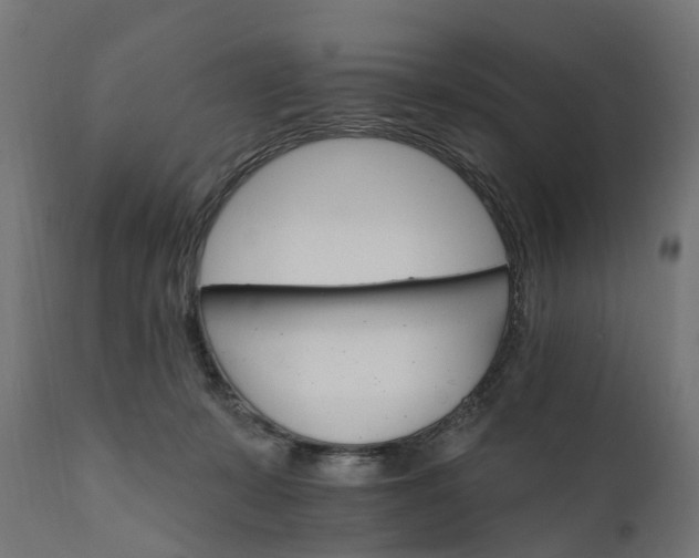 X0000111510319200907281321