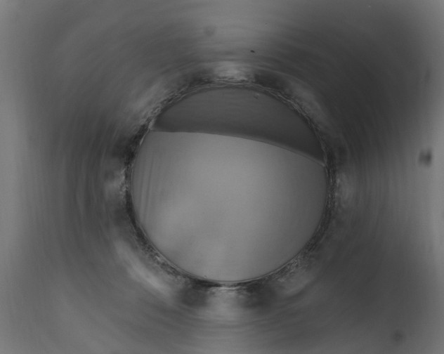 X0000111510320200907281321